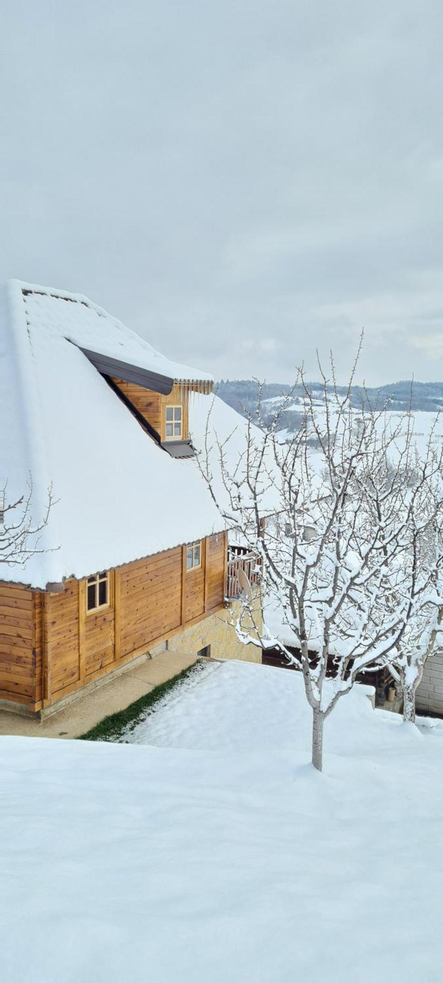 Rankovi Konaci Villa Златибор Стая снимка